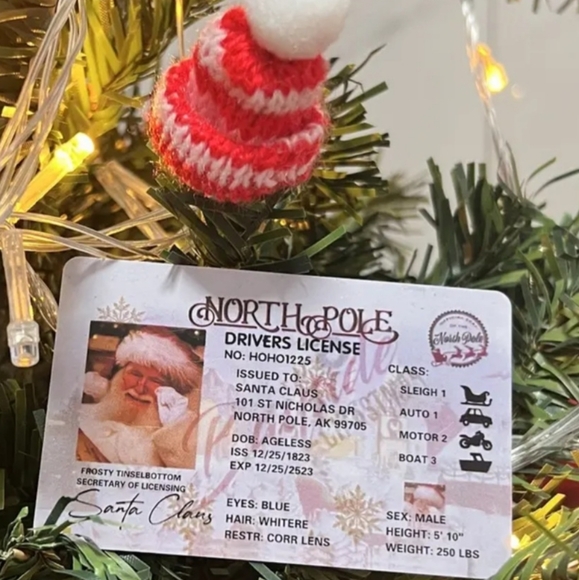 Santa Claus  Replacement Driver Sleigh Licence NWT - Picture 6 of 6